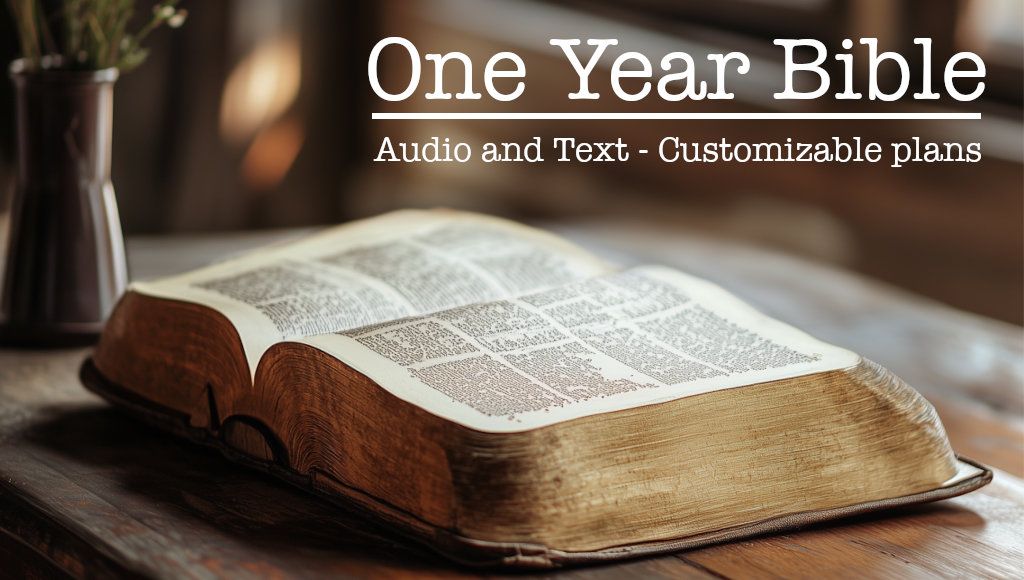 One Year Bible